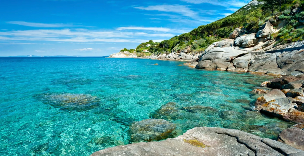 Vacanze con il cane: cosa mettere in valigia (la checklist completa)
