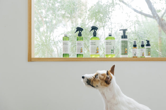 Linea Botanica