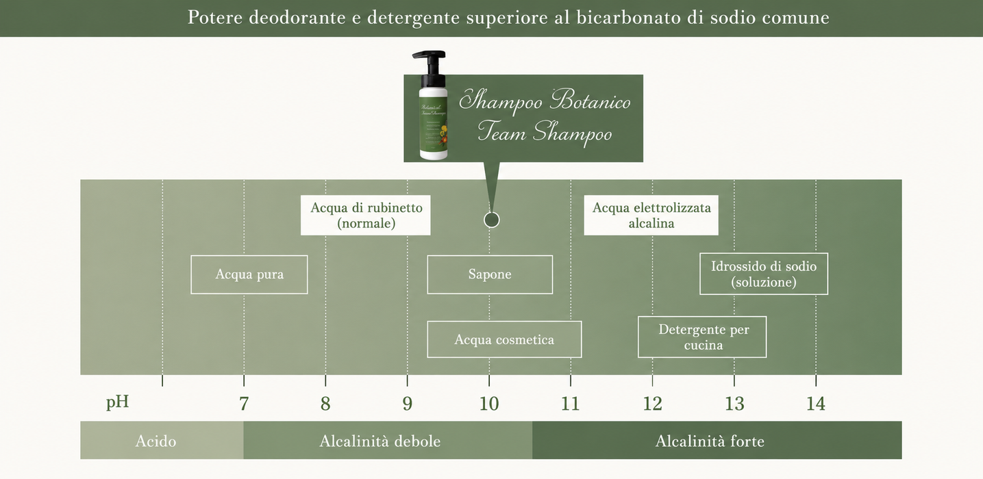 Shampoo Mousse Botanico 200ml
