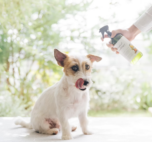 Spray Deodorante Botanico 500ml