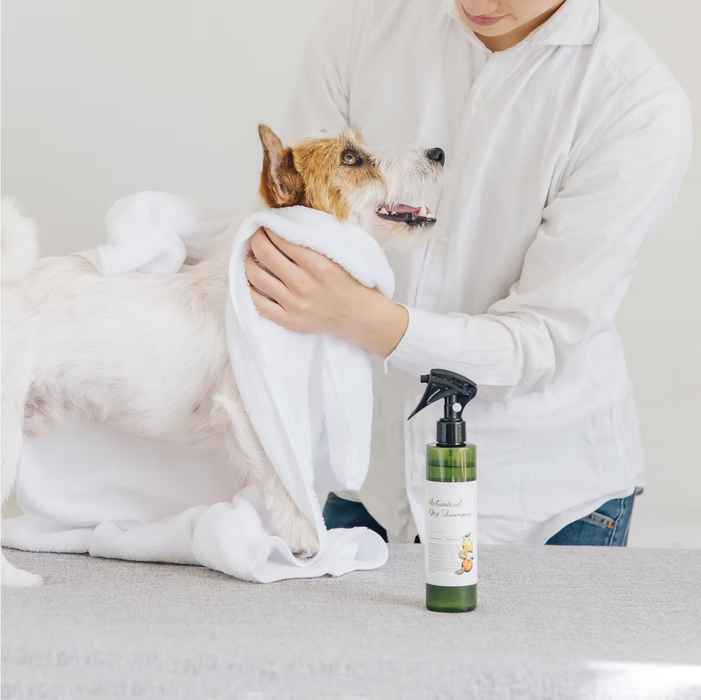Shampoo Secco Botanico 50ml